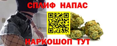 сатива Кандалакша