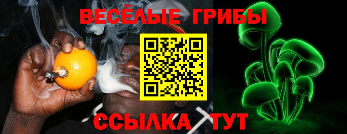 Псилоцибиновые грибы мухоморы  Вход с VPN  Ливны 